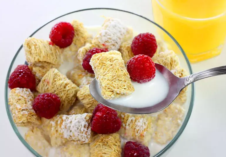 10 Best Vegan‑Friendly Cereals