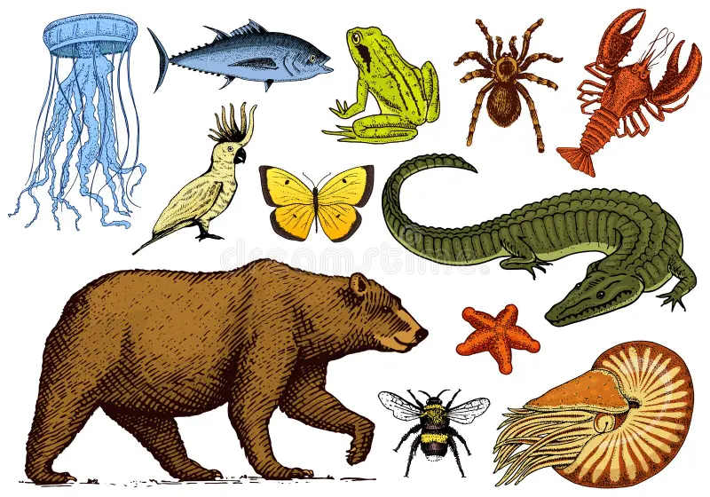 Are Fish Animals? Here's What Science Says