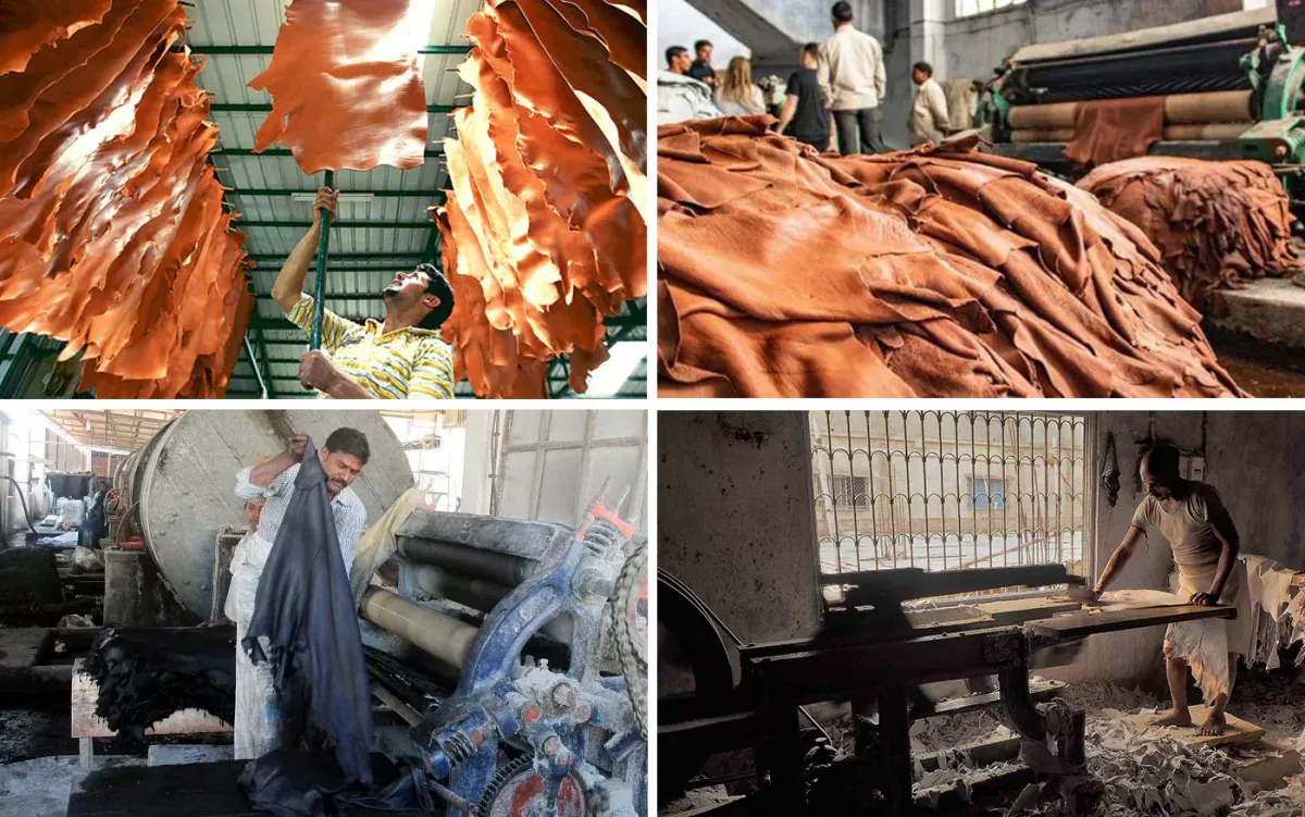 The Truth About Leather and Why Vegan Fashion Is the Future