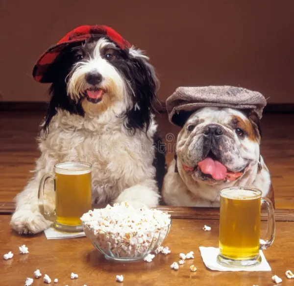 Beware of These Non-Vegan Beers