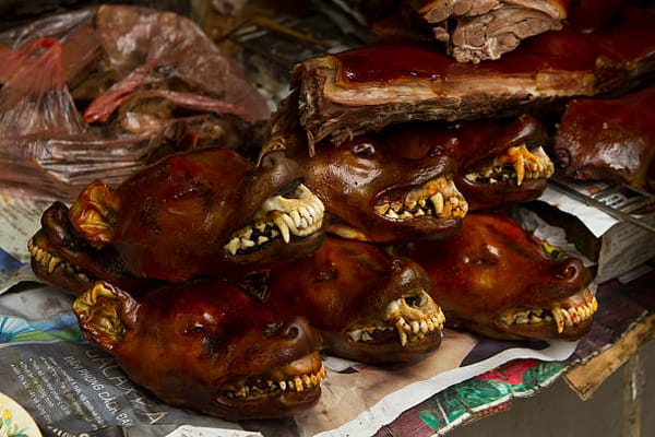 You Love Animals? Prove It at Dinner